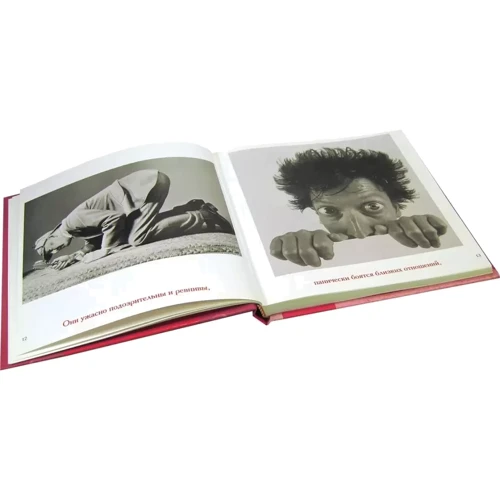 Грив, Рейнольдз, Вієн: Найкращій подрузі (комплект з 4 книг): ISBN 978-5-98124-669-2