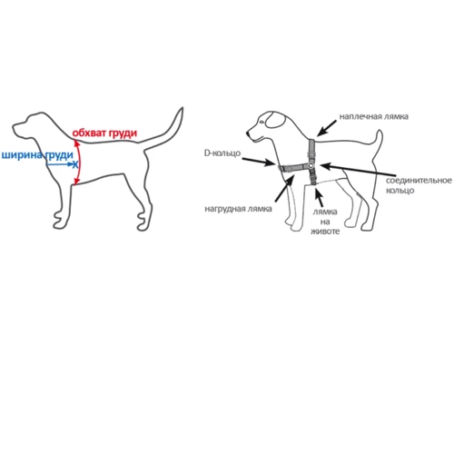 Шлея Premier Easy Walk для собак красная L (EW_H_L_RD_17 ): Производитель Premier