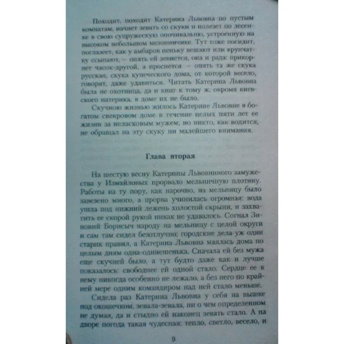 Николай Лесков. Леди Макбет Мценского уезда: Количество страниц 288