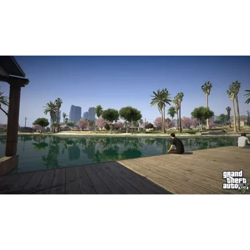 Grand Theft Auto V (PS5) фото 4