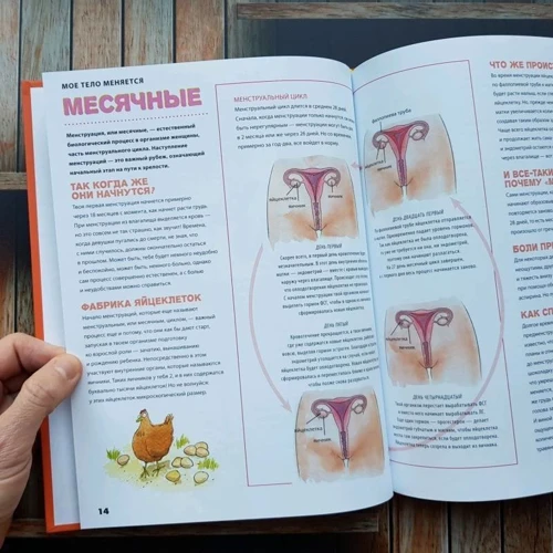 Джерри Бэйли: Мое тело меняется. Все, что хотят знать подростки и о чем стесняются говорить родители: Обложка Твердая
