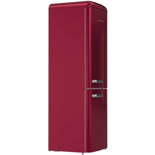 Холодильник Gorenje ONRK619DR: Тип холодильник двухкамерный