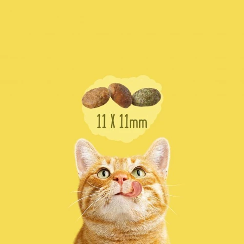 Сухой корм для котов Friskies Indoor с курицей и овощами 1.5 кг (7613031341887) фото 7