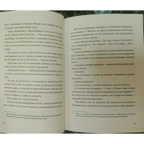 Марі-Од Мюра: Спаситель і син. сезон 4: ISBN 978-5-91759-843-7