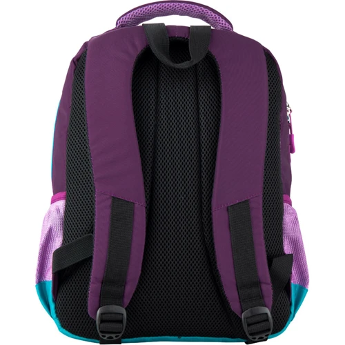 Рюкзак GoPack Education 113-4 Lama go20-113m-4: Тип Для средней школы