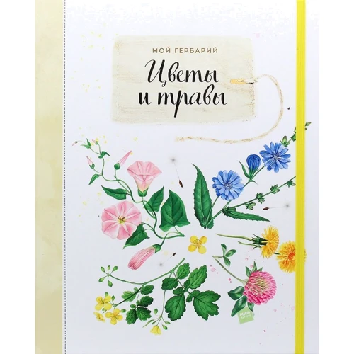 Ганна Васильєва: Мій гербарій. Квіти і трави