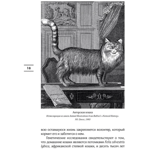 Герби Бреннан: Таинственный мир кошек: Количество страниц 240