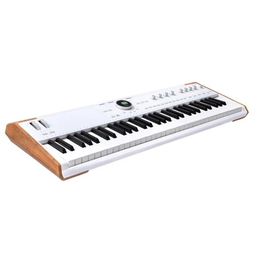 Синтезатор Arturia AstroLab 61 White Version: Тип Аранжировочные
