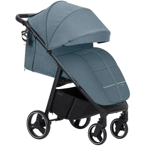 Прогулочная коляска Carrello Bravo/F (CRL-8512 Ice Blue F): Пол ребенка Унисекс