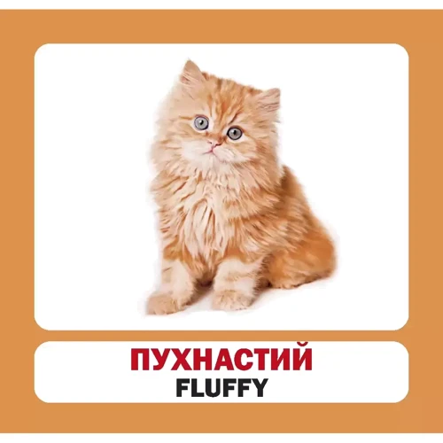 Прикметники. Adjectives (набір карток): Жанр Развитие ребенка