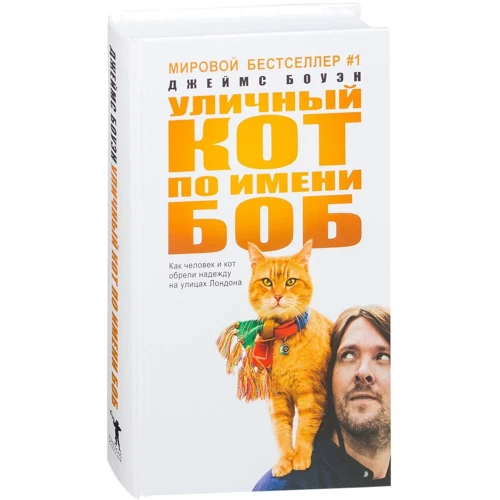 Вуличний кіт на ім'я Боб. Як людина і кіт знайшли надію на вулицях