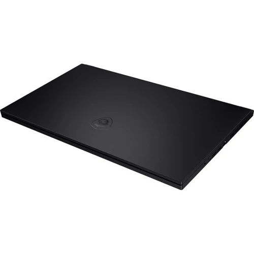 Ноутбук MSI GS66 Stealth 10SE (GS6610SE-630CZ) RB: Оперативная память 16 ГБ