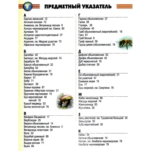 Рослини та тварини України: Кількість сторінок 96