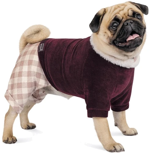 Костюм для собак Pet Fashion SPELL XS2 бордовый: Тип Костюмы