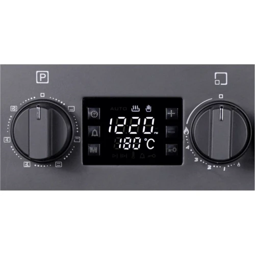 Плита комбинированная Artel Apetito 04-E Black: Тип варочной поверхности газовая