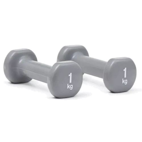 Гантель Reebok Dumbbells сірий Уні 1 кг (RAWT-16151)