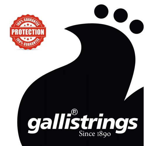 Струна для гитар Струны для бас-гитары Gallistrings RSB50110 4 STRINGS MEDIUM HEAVY: Тип Комплект струн