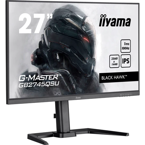 Монитор iiyama G-Master GB2745QSU-B1: Время реакции, мс 1
