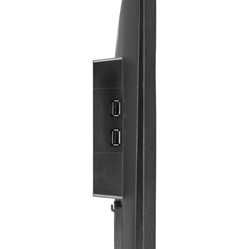 Монитор iiyama G-MASTER Red Eagle G2470HSU-B1: Разъемы HDMI, DisplayPort, Выход на наушники