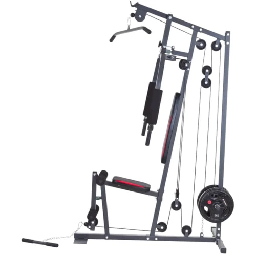 Фитнес станция inSPORTline ProfiGym N10 + тяга (7185): Тип конструкции стационарный
