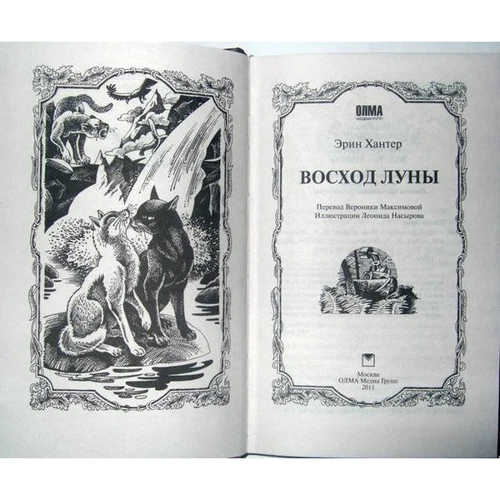Эрин Хантер: Коты-воители. Восход луны: Количество страниц 320