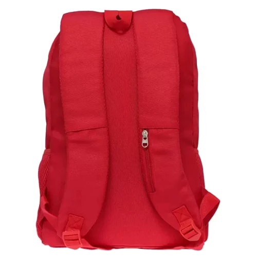 Рюкзак SAFARI 45х29х14 см (19-125L-2): Тип Городской рюкзак