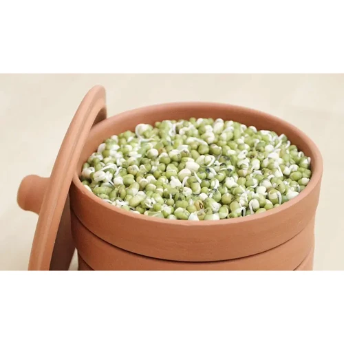 Глиняные горшки для проращивания Hawos Tonkeimer