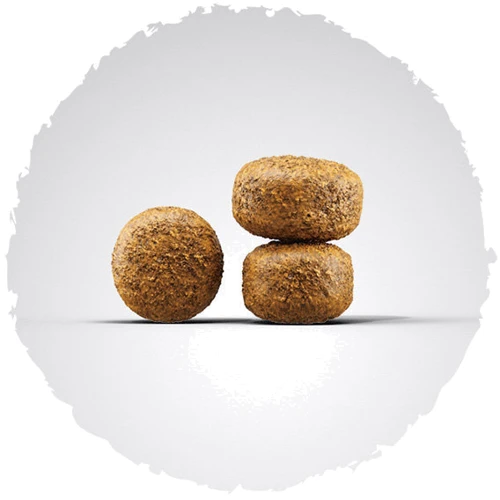 Сухой корм для пожилых и малоактивных собак Josera Balance 900 г (4032254745242): Тип Сухой корм