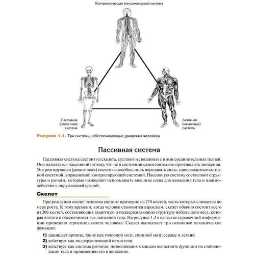 Еверетт Ааберг: М'язова механіка: Автор Еверетт Ааберг
