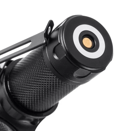 Фонарь туристический Mactronic Cyclope II (600 Lm) Magnetic USB Rechargeable (THL0131): Световой поток, лм 600