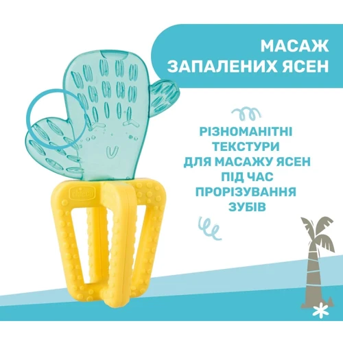 Прорезыватель для зубов Chicco "Кактус" (28140.30): Производитель Chicco