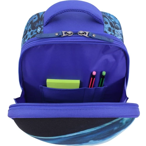 Рюкзак Bagland Turtle 17 л. Електрик 555 (0013466): Тип Для средней школы