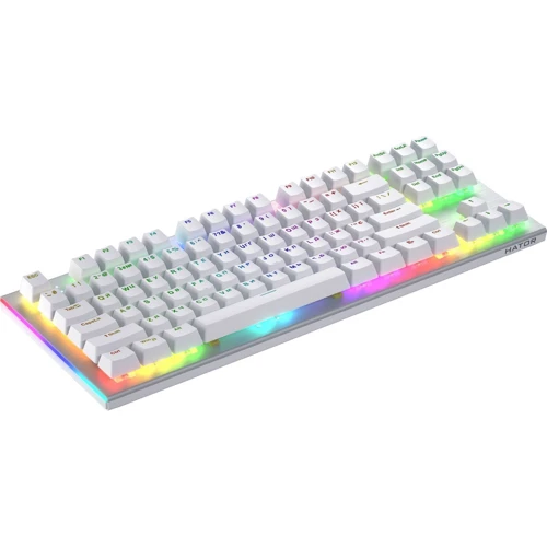 Клавіатура HATOR Gravity X TKL Orange White (HTK551UA): Тип клавіатури компактная