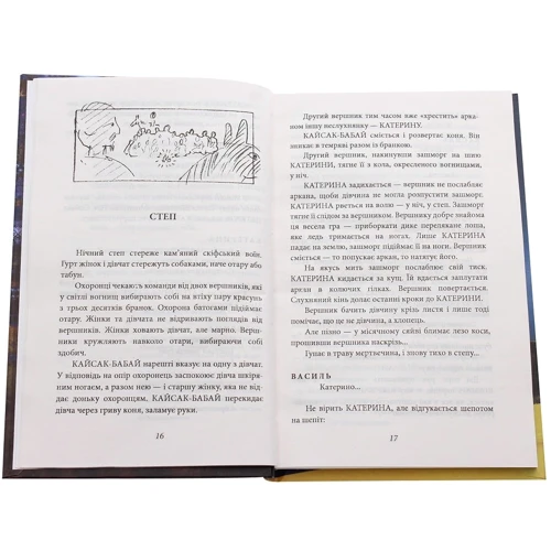 Михайло Іллєнко: Толока. Краєвид з вікна хати: Количество страниц 256