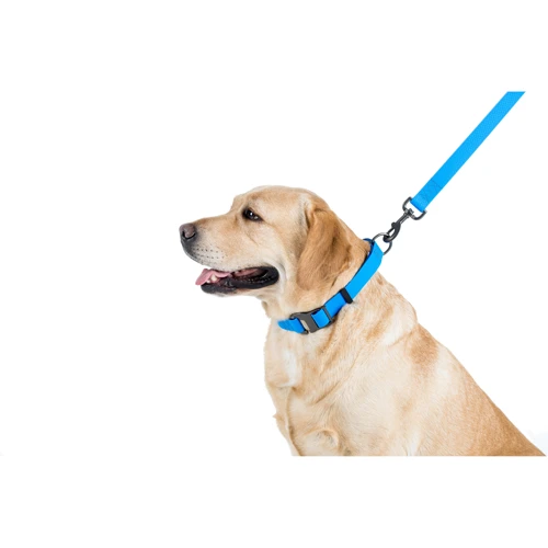 Поводок WAUDOG Waterproof, светящийся 25 мм 122 см голубой (27232) фото 5