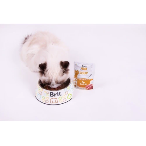 Вологий корм Brit Care Soup with Duck Суп для котів з качкою 75 г (8595602569182): Вік Взрослые