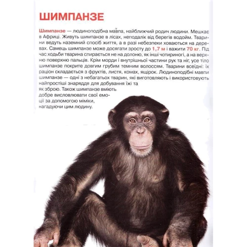 Велика книжка. Дикі тварини: Производитель БАО