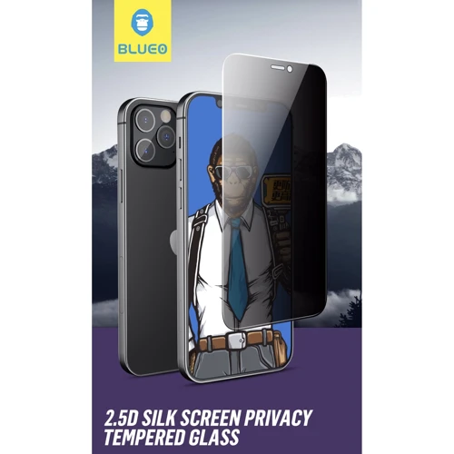 Защитное стекло для iPhone Blueo Tempered Glass Silk Narrow Border 2.5D Privacy Black for iPhone 12 Pro Max (NPB14-6.7)