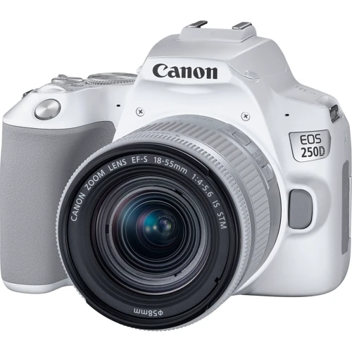 Canon EOS 250D kit (18-55mm) IS STM White: Тип матрицы CMOS