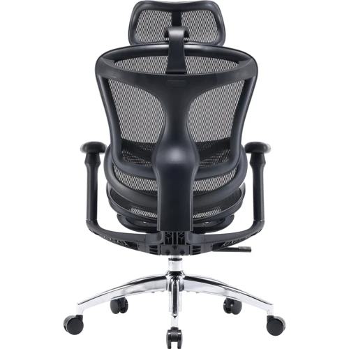 Офисное кресло Sihoo DORO C300L Mesh Black (DORO-C300L-A3-101)