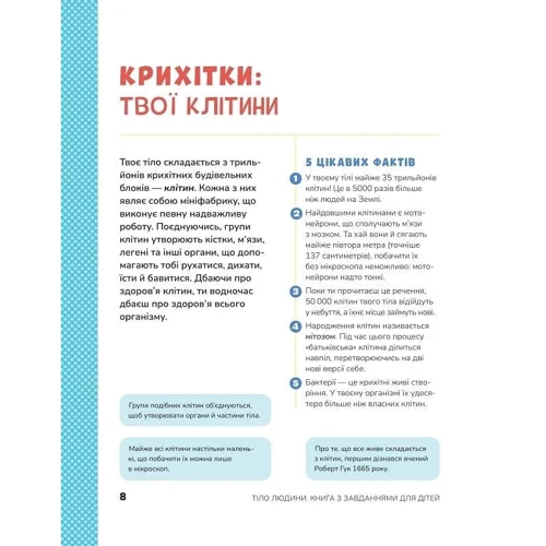 Кеті Стокс: Тіло людини. Книжка з розвивальними завданнями для дітей: Обложка Мягкая