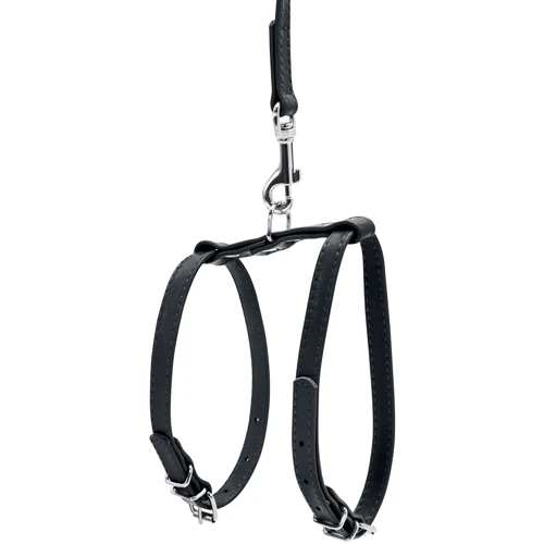 Шлея круглая WAUDOG Glamour с поводком для кошек и мелких собак 9 мм 30-40 см черная (33991): Производитель WAUDOG