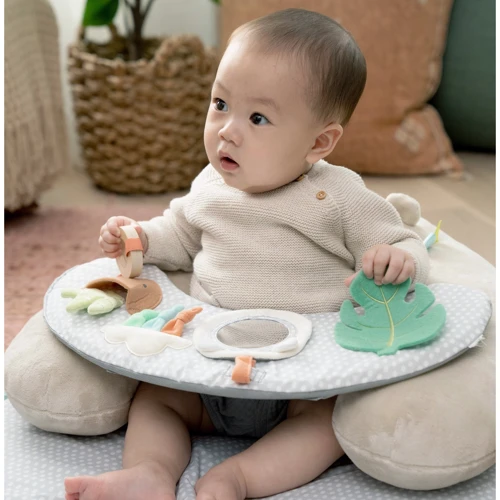 Килимок розвиваючий Chicco 4в1 Cozy Prop Nate Ingenuity (12629): Особливості подушка