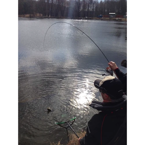 Спининговое удилище Favorite Arena ARN-602XUL 1.8m 0.6-3g 2-4lb M-Slow (1693.02.23): Класс Ультралегкий (Ultra-Light)
