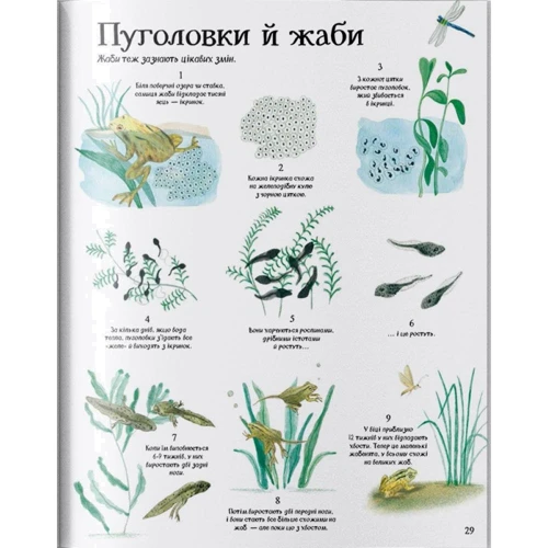Велика ілюстрована книга про природу: Обкладинка Тверда