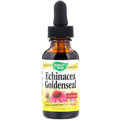 Nature's Way Echinacea Goldenseal Alcohol Free 99.9% 1 fl oz (30 ml) Ехінацея і гідрастіс