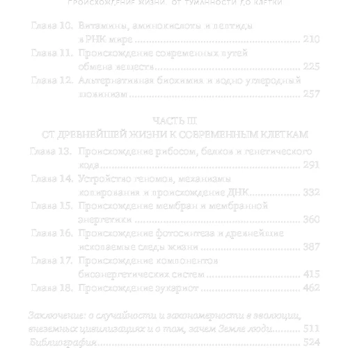 Михаил Никитин: Происхождение жизни. От туманности до клетки фото 7