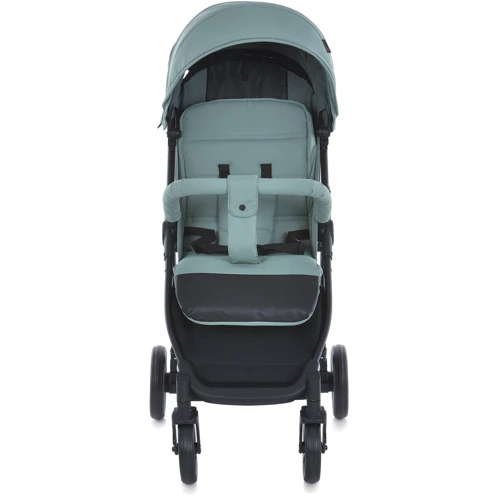 Дитяча коляска Bambi Green Matt Зелена (M 4249-2 Green Matt): Тип коляски Прогулочная