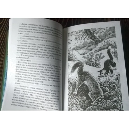 Эрин Хантер: Коты-воители. Месть Звездного Луча. Книга 1. Разлом: Обложка Твердая