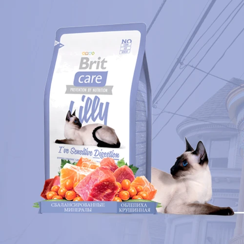 Сухой корм для кошек с чувствительным пищеварением Brit Care Lilly I have Sensitive Digestion 2 кг (8595602505586): Тип Сухой корм